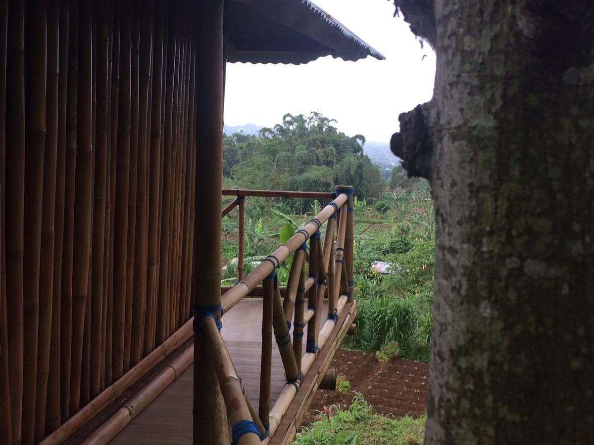 ブドゥグルBali Tree House Pelangiアパートメント エクステリア 写真