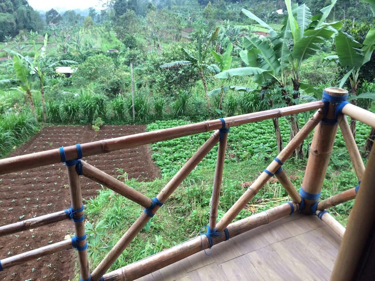 ブドゥグルBali Tree House Pelangiアパートメント エクステリア 写真