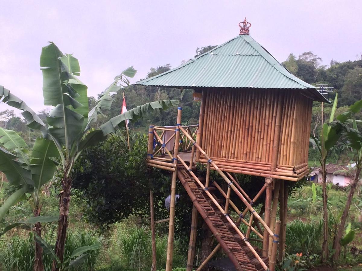 ブドゥグルBali Tree House Pelangiアパートメント エクステリア 写真