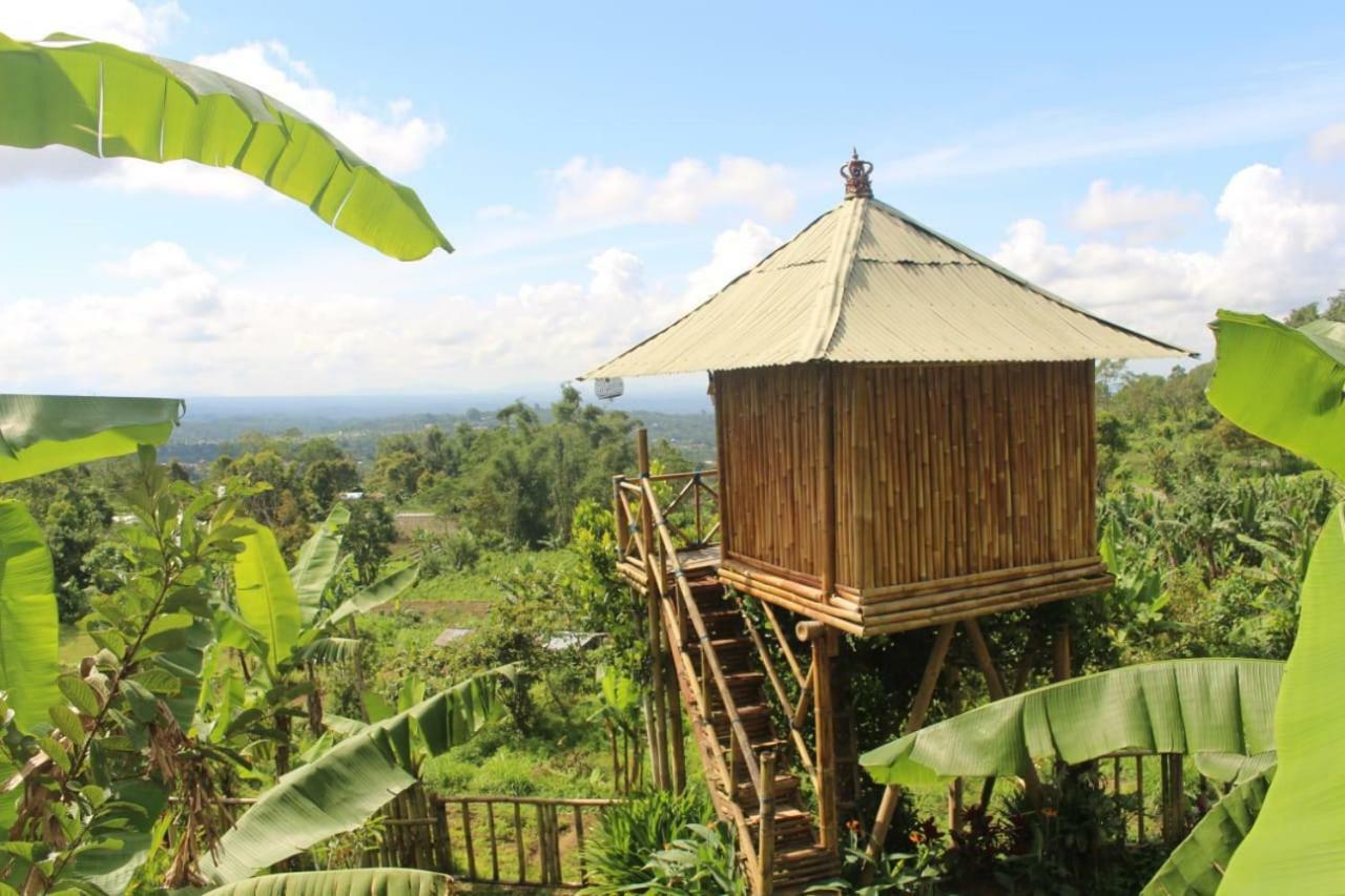 ブドゥグルBali Tree House Pelangiアパートメント エクステリア 写真