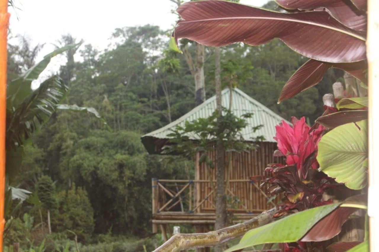 ブドゥグルBali Tree House Pelangiアパートメント エクステリア 写真