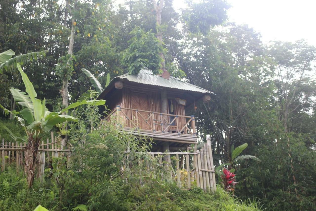 ブドゥグルBali Tree House Pelangiアパートメント エクステリア 写真