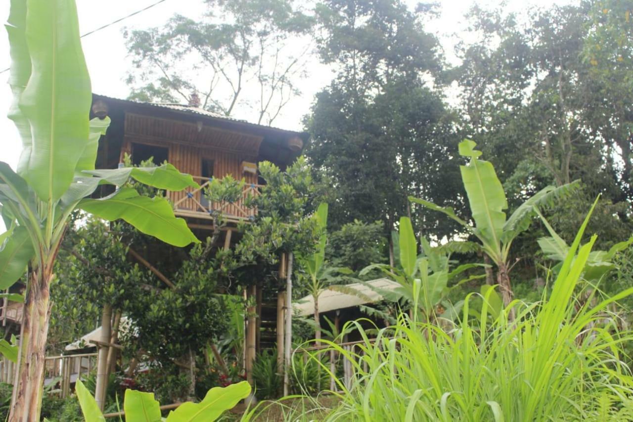 ブドゥグルBali Tree House Pelangiアパートメント エクステリア 写真