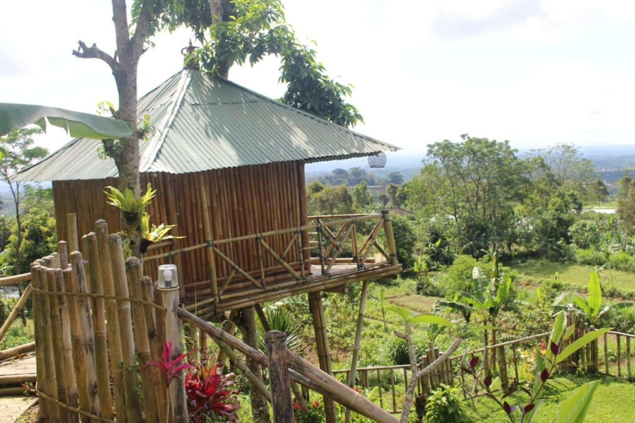 ブドゥグルBali Tree House Pelangiアパートメント エクステリア 写真