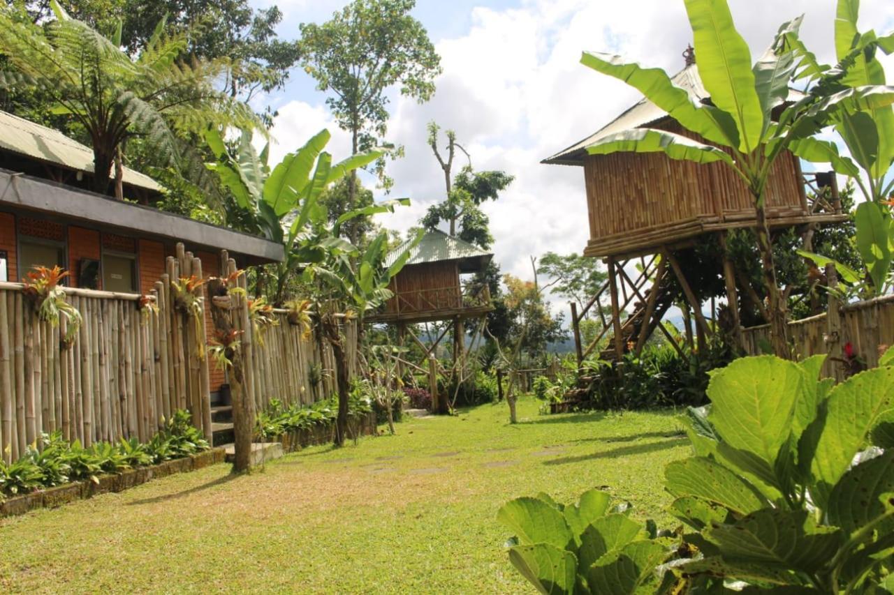 ブドゥグルBali Tree House Pelangiアパートメント エクステリア 写真