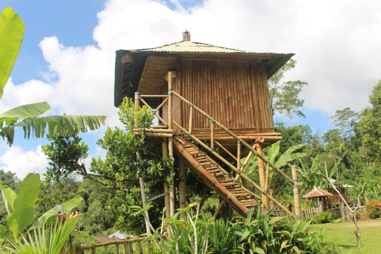ブドゥグルBali Tree House Pelangiアパートメント エクステリア 写真