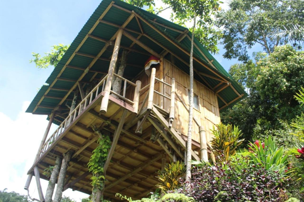 ブドゥグルBali Tree House Pelangiアパートメント エクステリア 写真
